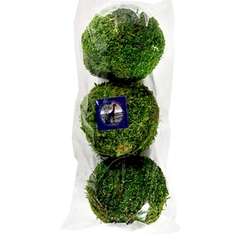 Moss Preserved - Globe 4in PKG 3  Natural Green