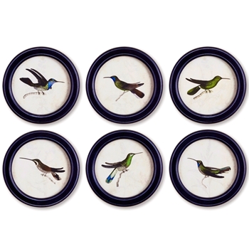 08W/08H Framed Print - Hummingbird 6 Asst Sold Individually