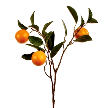 Orange - Fruit Branch 28IN