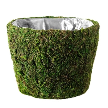 Preserved Moss Planter Large 10W/8H