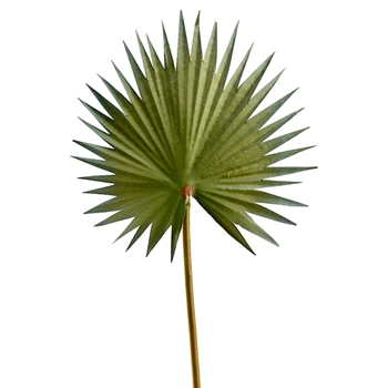 Palm Leaf - Fan - Sage Green 15in - FSP053-GR