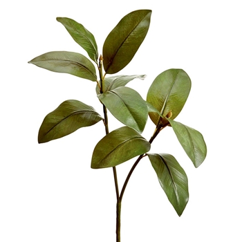 Magnolia - Leaf Branch 34in - PSM670-GR