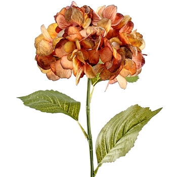 Hydrangea - Bloom Vintage Dried Terracotta 25in - FSH136-CA/GR