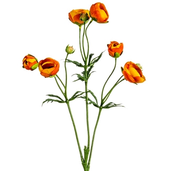 Ranunculus - Bells Spray 25in Orange - FSR411-OR/TT