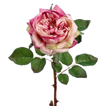 Rose - English Full Bloom 20in Mauve - HSR976-MV/TT