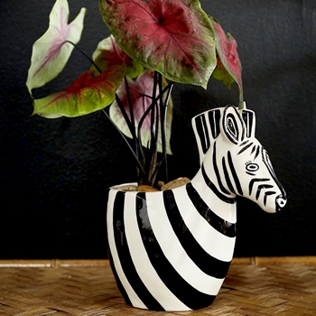Planter - Zed Zebra Ceramic 9x5x10H