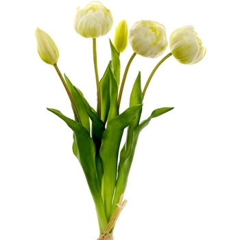 Tulip - Bundle X5 White 17in - FBQ168-WH