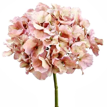 Hydrangea - Cottage Mauve 20in - FSH391-MV