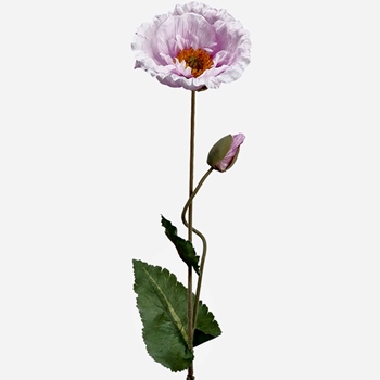 Poppy - Flower & Bud Wild - Violet 26in - FSP295-LV