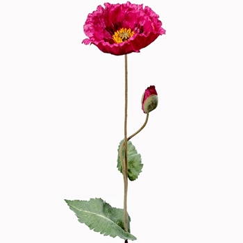 Poppy - Flower & Bud Wild - Fuchsia 26in - FSP295-BT