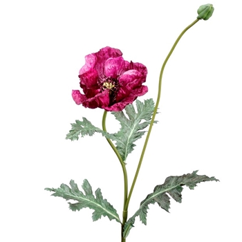 Poppy - Flower & Bud Sage - Fuchsia 31in - FSP639-PU