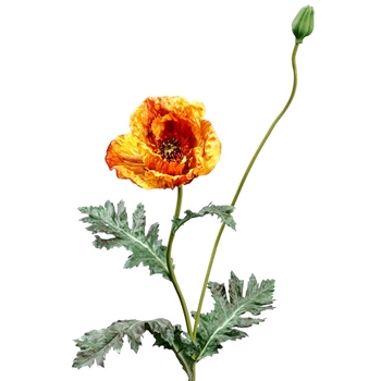 Poppy - Flower & Bud Sage - Orange 31in - FSP639-AM