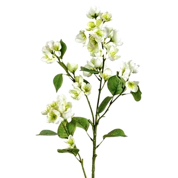 Blossom - Speedwell White 33in - FSW515-WH