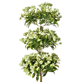 Blossom - Mini - Tri Cluster Celery Green 30in