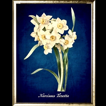 10W/12H Framed Glass Print Azure Narcissus Gold
