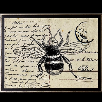 12W/10H Framed Glass Print - Postcard Bee