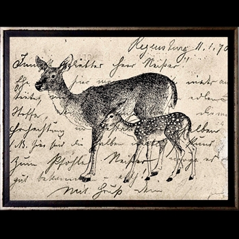 12W/10H Framed Glass Print - Postcard Deer