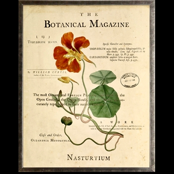 10W/12H Framed Glass Print - Botanical Magazine Nasturtium