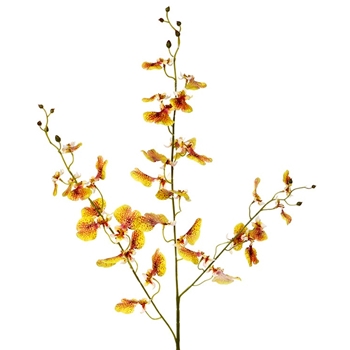 Orchid - Oncidium Saffron 38in - FSO601-YE/OR