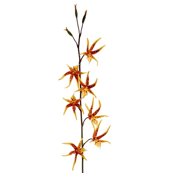 Orchid - Spider Orange 44in - HSO044-OR