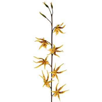 Orchid - Spider Yellow 44in - HSO044-YE