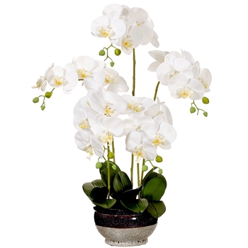 Orchid - Phalaenopsis Potted White in Rustic Bowl 28IN - LFO266-WH