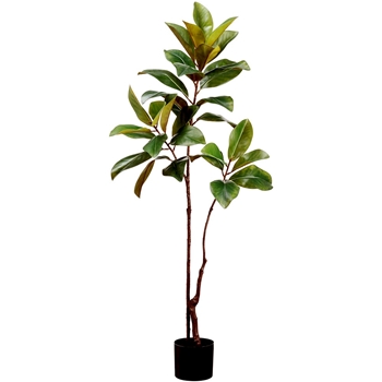 Magnolia - Tree 47in Black Plastic Pot - LTM205-GR