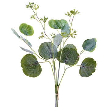 Cotinus - Seeded Bundle 19in Green - PBC195-GR