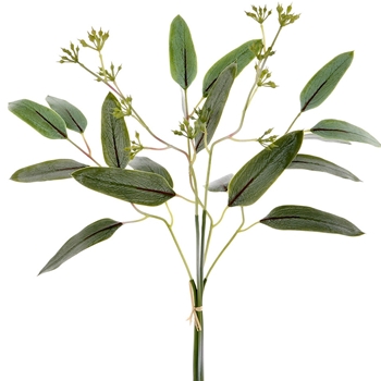 Eucalyptus - Seeded Bundle 19in Green - PBE180-GR