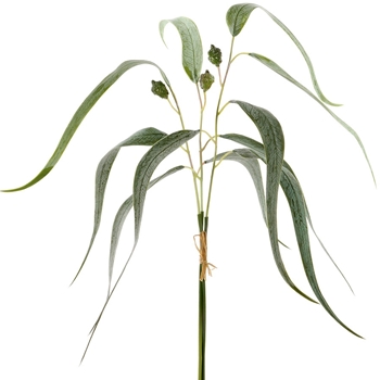 Eucalyptus - Seeded Bundle Long Leaf 23in Green - PBE183-GR