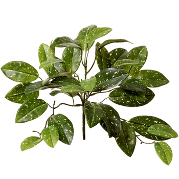 Hoya - Pick 11in Green - PBH960-GR