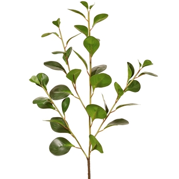 Cotinus - Leaf  Branch 36in Green - PSC588-GR