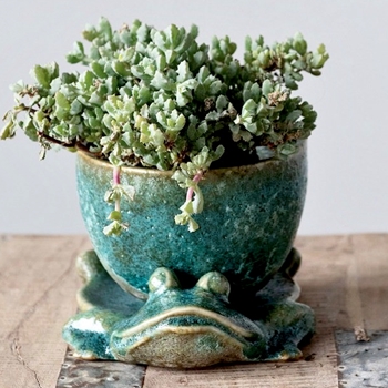 Planter - Verde Stoneware Pot on Frog Plate 8W/6D/5H