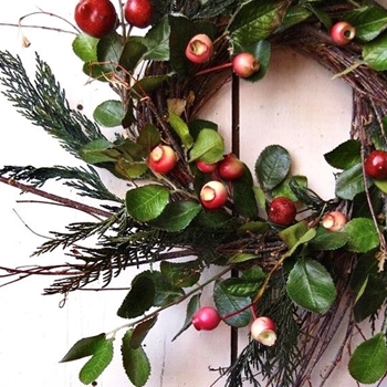 Wreath - Pinterest