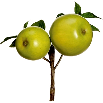 Fruit - Apple Pick X2 8in Green