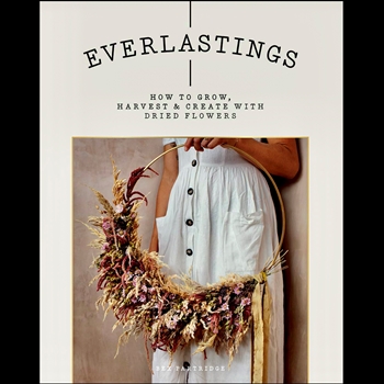 Everlastings - How to grow, harvest and create with dried flowers