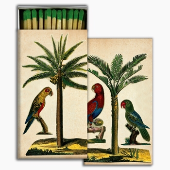 Matches - John Derian Parrots & Palms - 4x2in Box50