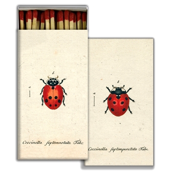 Matches - John Derian - Little Lady Bug & Red Lady Bug - 4x2in Box50