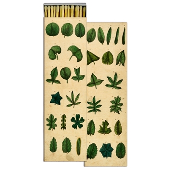 Matches - John Derian - Simple Leaves - 9x3in Box50