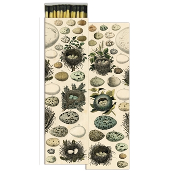 Matches - John Derian - Nest & Eggs - 9x3in Box50