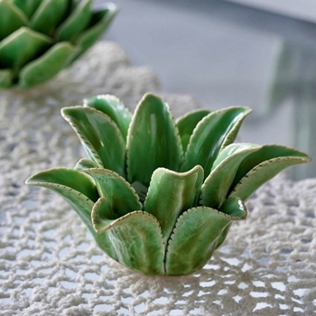 Tealight Holder - Agave Low Green 7W/5H