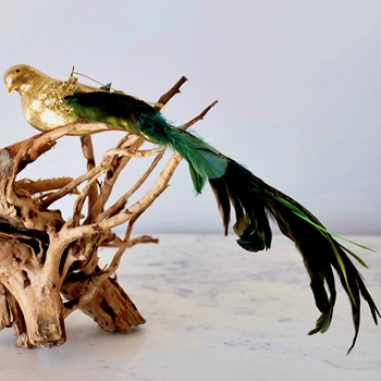 Bird - Ornament Glass Long Feather Tail Gold, Black, Teal, Peridot 12in