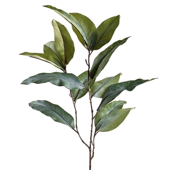 Eucalyptus - Leaf Branch 35in Green - PSE011-GR