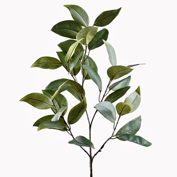 Eucalyptus - Leaf Branch 32in Green - PSE010-GR