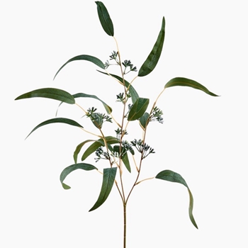 Eucalyptus - Seeded Long Leaf Sage Green 30in - PSE032-GR/GY