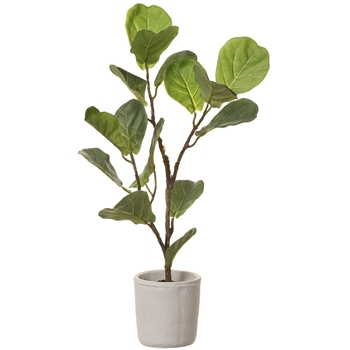 Fiddle Leaf - Topiary - Green in White Pot 27in - LPF213-GR