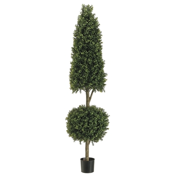 Boxwood - Topiary Ball Cone 6ft - LPB295-GR/TT