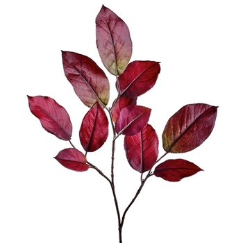 Leaf - Mulberry 27in Wine - PSM009-WI