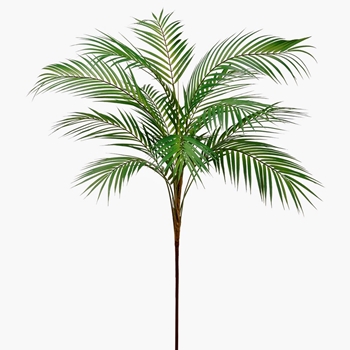 Palm Leaf - Areca - 11Frond Full Green 58in - PSP269-GR