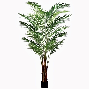 Palm Tree - Areca Green 84in KD - LTP127-GR